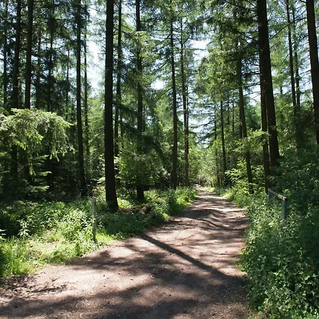 In The Heart Of The Ardennes Waimes